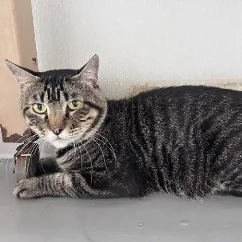 Bob photo 2