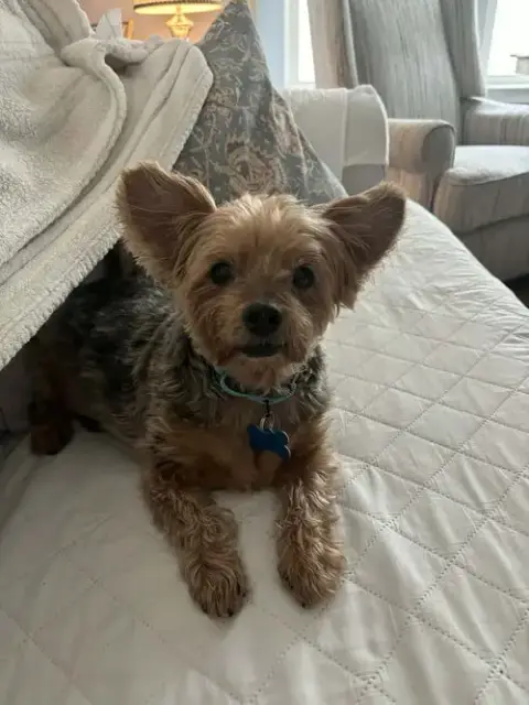 Jake photo 2