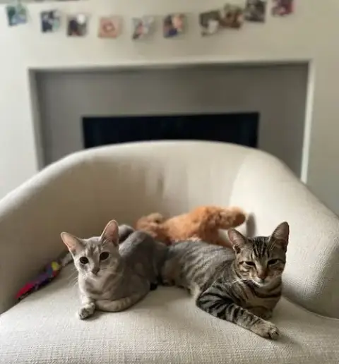 Tiny