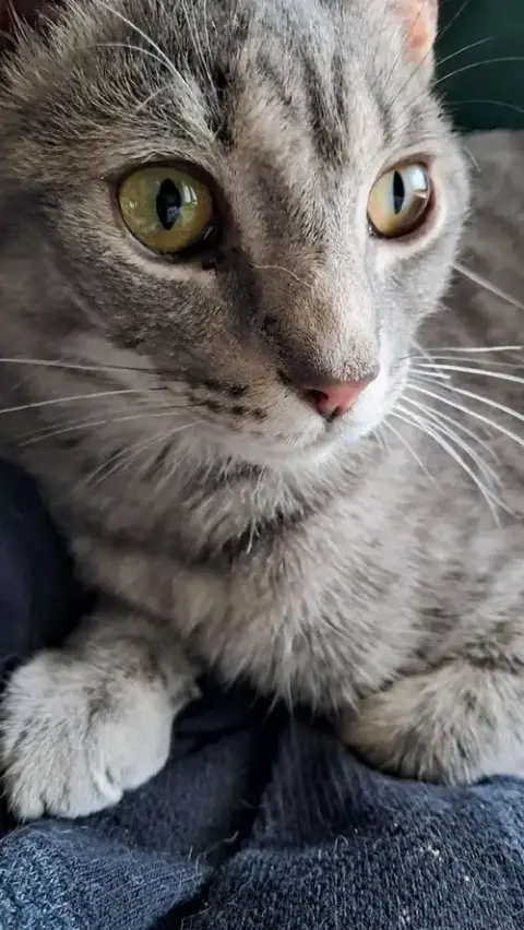 Morty photo 2