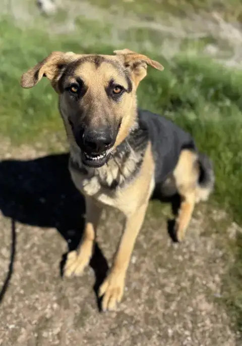 Micah photo 4