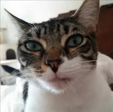 Audrey photo 2