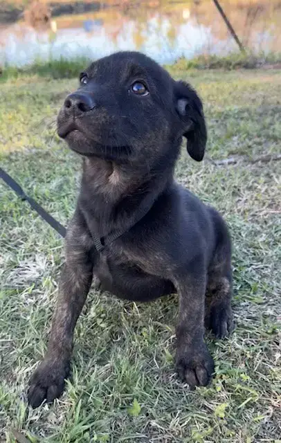 Dora photo 4
