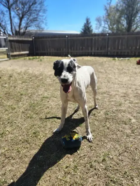 Delilah photo 4