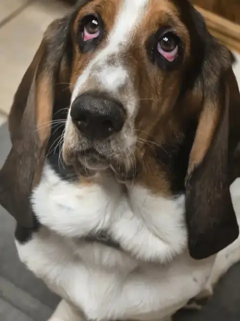 Walter