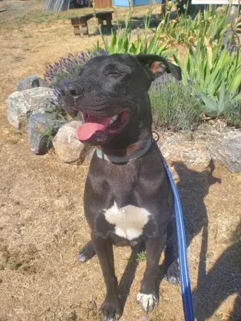 Oscar photo 5