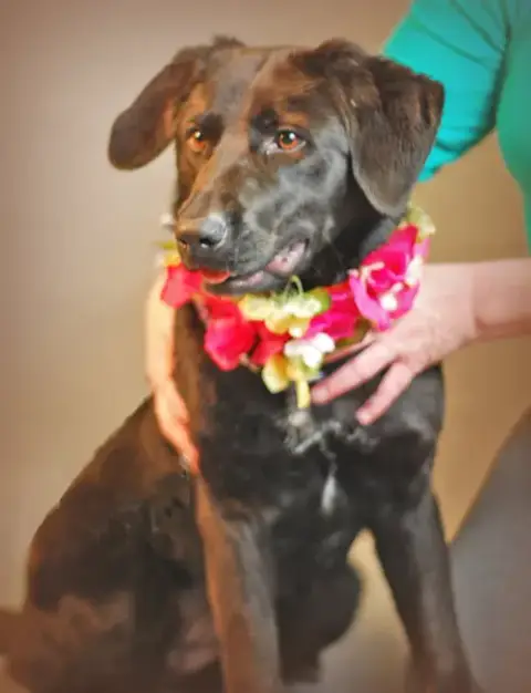 Sadie photo 3