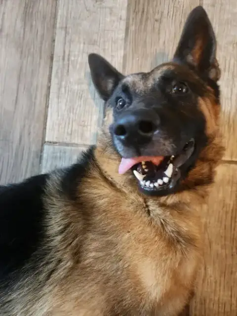 Doug photo 2