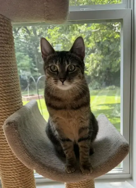 Nala photo 2