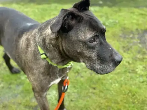 Edgar