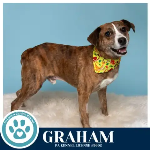 Graham 031426 photo 4