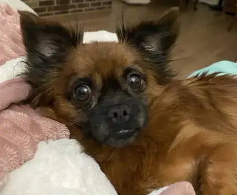 General “Zip:” Not At Shelter photo 2