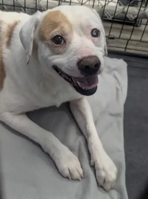 Tex photo 4