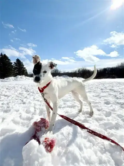 Stella photo 2