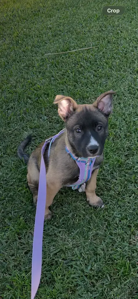 Rylee