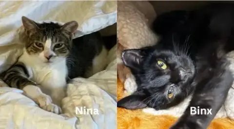 Binx And Nina