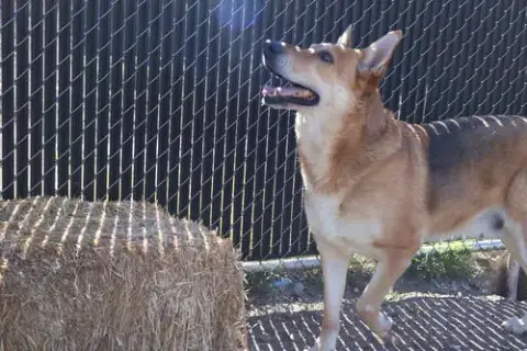 Max photo 3