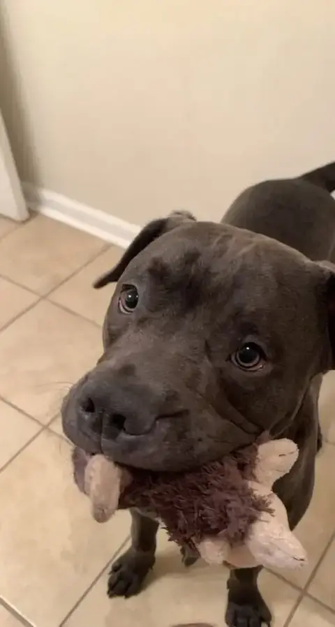 Tucker