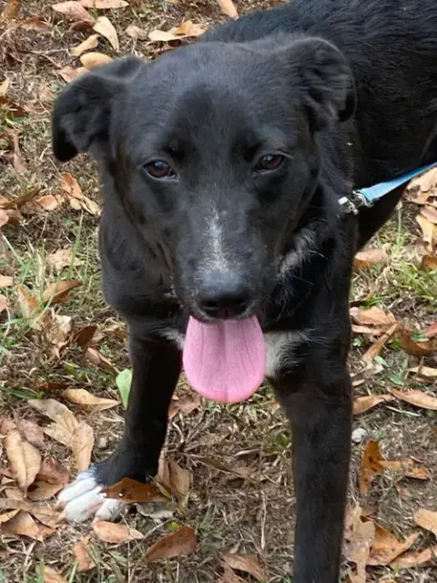 Daphne photo 5