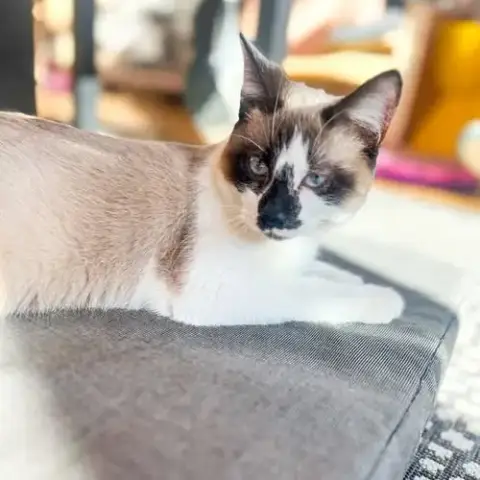 Cloud