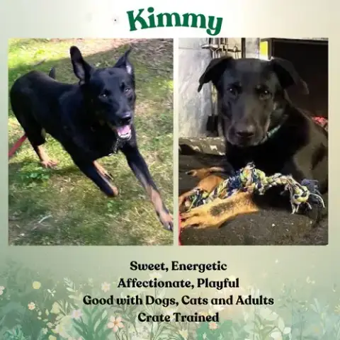 Kimmy