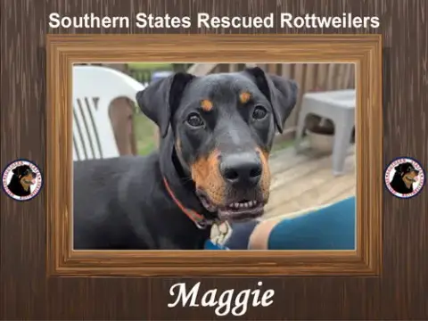 Maggie