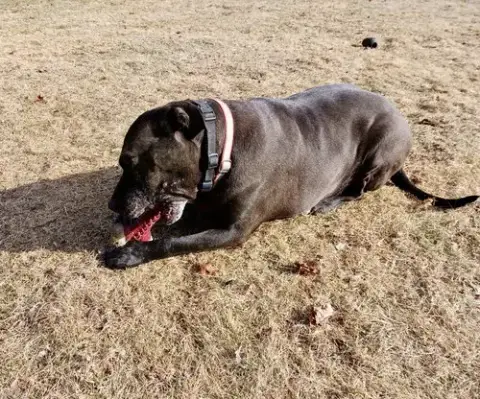 Bonnie photo 4