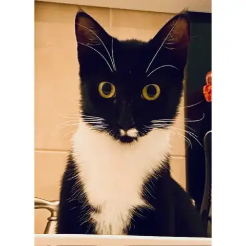 Bubbles