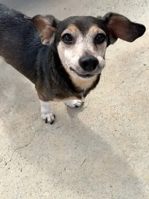 Danny photo 2