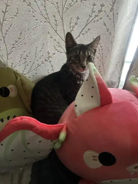 Meg photo 5