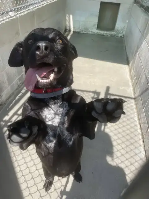 Tucker photo 3