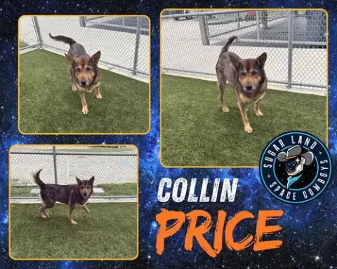 Collin Price