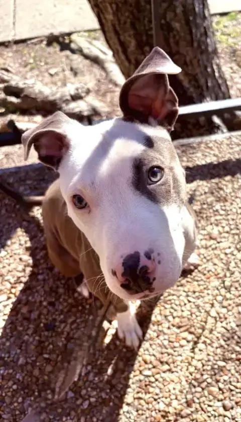 Zeus photo 5