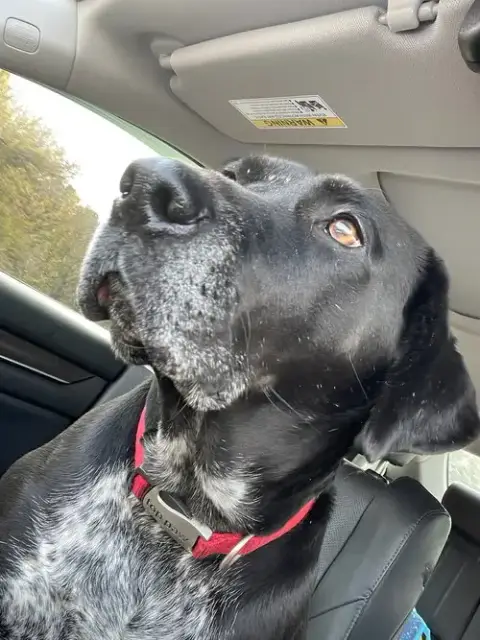 Journey