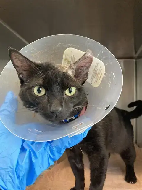 Midnight