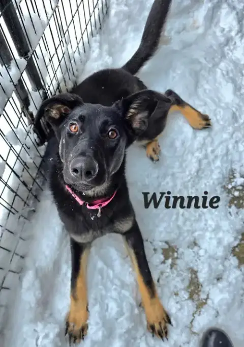 Winnie photo 3