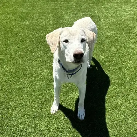 Max 8 photo 2