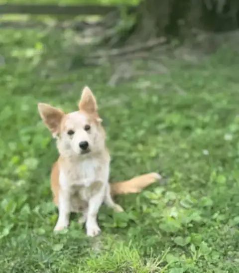 Finn photo 2
