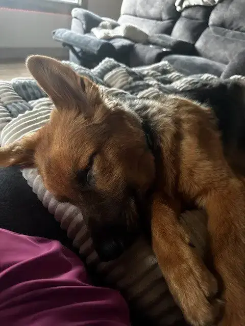Abe photo 4