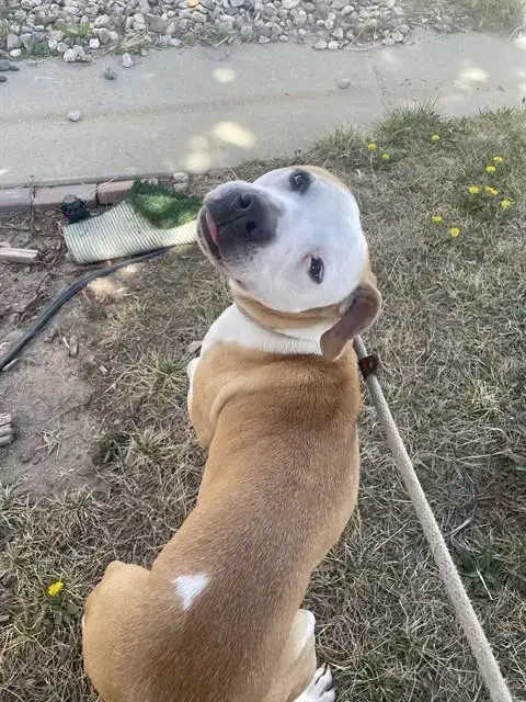 Payton