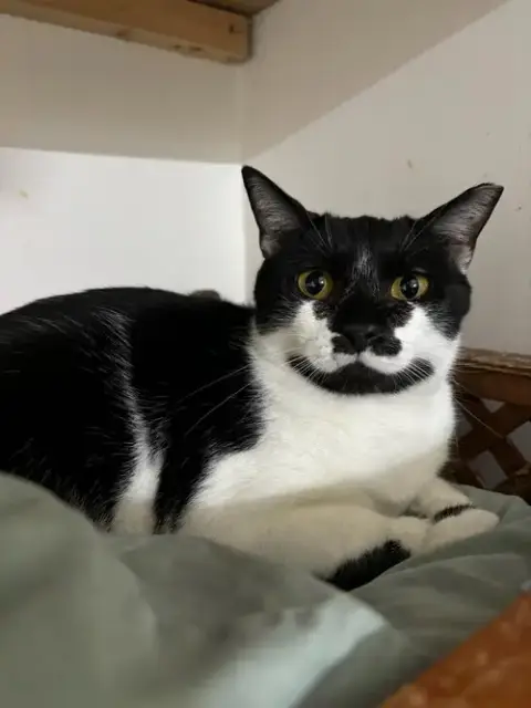 Spot photo 4