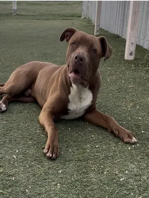 Tucker