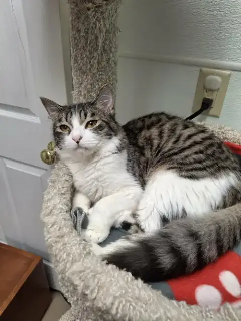 Murphy photo 3