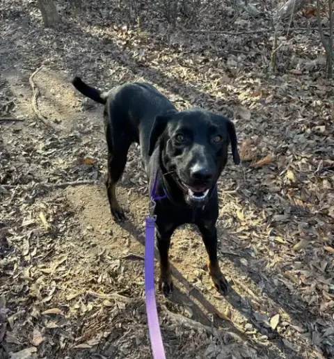Boone photo 3