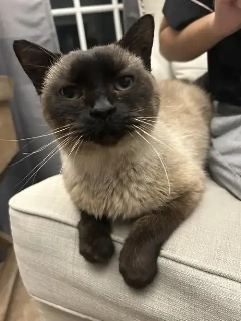 Mocha photo 2