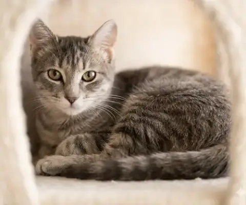 Lexi Jade: Visit At Lynchburg Petsmart