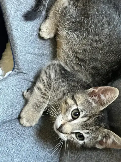 Jesse photo 4