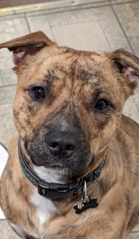 Oakley