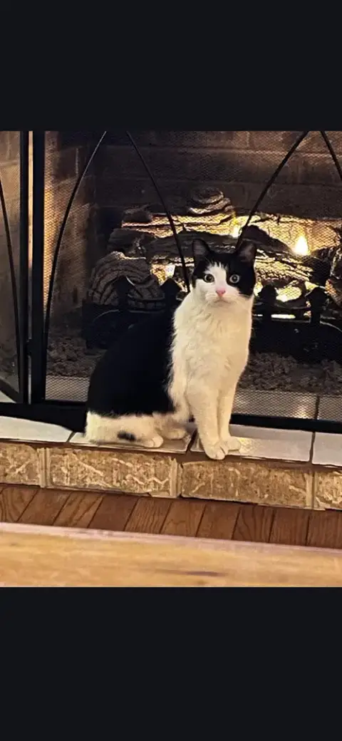 Morgan