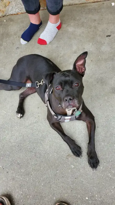 Ellie